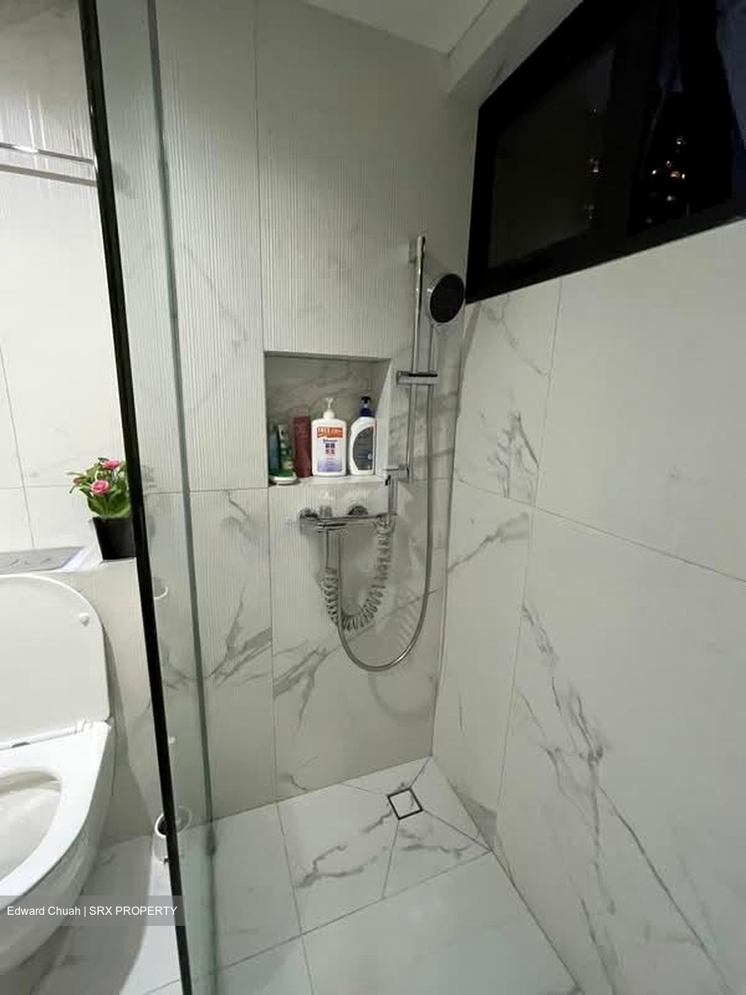 Lucky Plaza (D9), Apartment #584837841